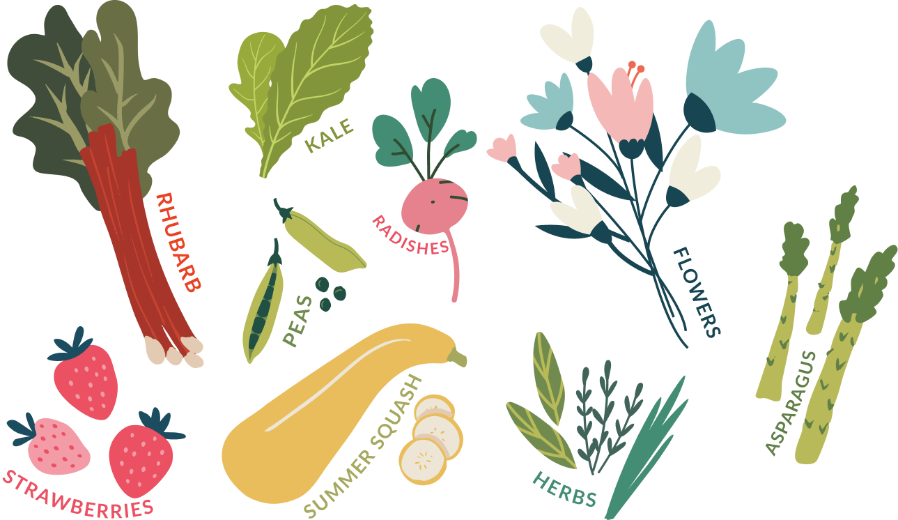 Spring PNG
