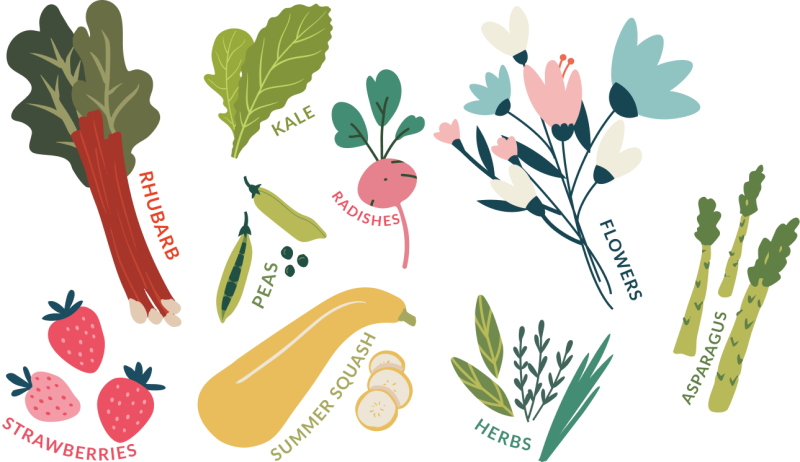 Spring PNG